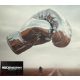 Bryan Adams - Roll With The Punches (Dupla Digipak CD)