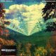 Tame Impala - Innerspeaker (Dupla Gatefold LP)