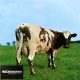 Pink Floyd - Atom Heart Mother (Gatefold LP)