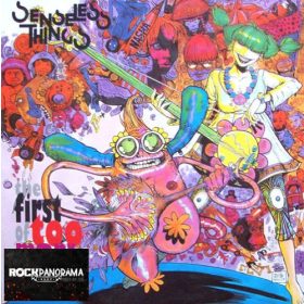 Senseless Things - The First Of Too Many (LP)