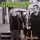 Green Day - Warning: (LP)