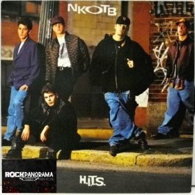 New Kids On The Block - H.I.T.S. (LP)