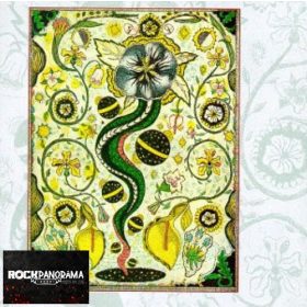 Steve Earle - I Feel Alright (CD)