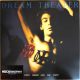 Dream Theater - When Dream And Day Unite (LP)