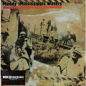 Muddy "Mississippi" Waters - Live (LP)