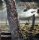 Brainstorm - Memorial Roots (CD)