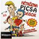 Hétköznapi Csalódások - Mi a Picsa, avagy negyedszázad lázad (Dupla CD)
