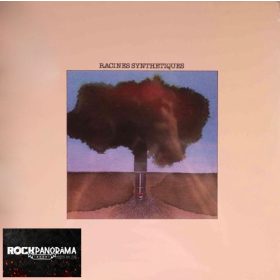 Joël Fajerman, Jan Yrssen - Racines Synthétiques (LP)