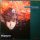 Mike Oldfield - Innocent (12" Single, LP)