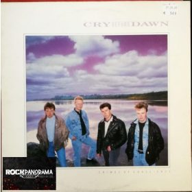 Cry Before Dawn - Crimes Of Conscience (LP)