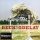 Beck - Odelay (LP)