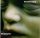 Rammstein - Mutter (CD)