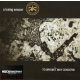 A Losing Season - To Whom It May Concern (EP, CD)
