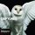 Deftones - Diamond Eyes (LP)