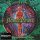 The Flower Kings - Flower Power (3LP + 2CD)