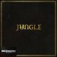 Jungle - Jungle (LP)
