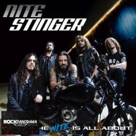 Nite Stinger - What The Night Is All About (CD)