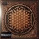 Bring Me The Horizon - Sempiternal (LP)