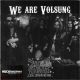 Zodiac Mindwarp And The Love Reaction - We Are Volsung (CD)