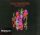 Foo Fighters - Wasting Light (Digipak CD)