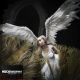 Erin LeCount - I Am Digital, I Am Divine (LP)