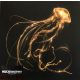 Royal Blood - Back To The Water Below (LP)