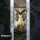 McAuley Schenker Group - MSG (CD)