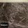 Harold Budd ▪ Elizabeth Fraser ▪ Robin Guthrie ▪ Simon Raymonde - The Moon And The Melodies (LP)