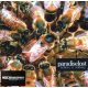 Paradise Lost - Believe In Nothing (CD)