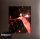 Dua Lipa - Live From The Royal Albert Hall (Dupla Gatefold LP)