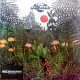 Osibisa - Osibirock (LP)