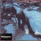 The Flowers Of Romance - Pleasure & The Pain (CD)