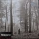 Taylor Swift - Folklore (Dupla LP)