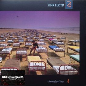 Pink Floyd - A Momentary Lapse Of Reason (2017, LP)