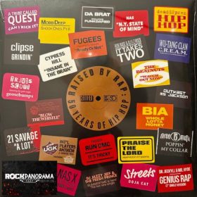 Raised By Rap: 50 Years Of Hip Hop (Dupla LP)