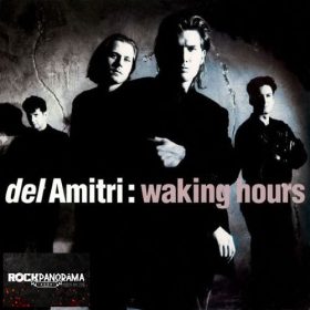 Del Amitri - Waking Hours (LP)