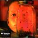 Alice In Chains - Jar Of Flies (CD)