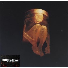 Alice In Chains - Nothing Safe (CD)