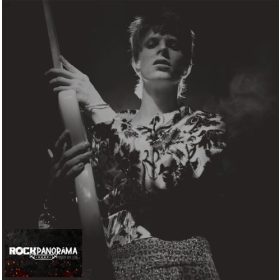 David Bowie - Rock 'N' Roll Star! (LP)