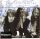 Del Amitri - Twisted (CD)