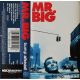 Mr. Big - Bump Ahead (MC)
