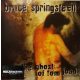 Bruce Springsteen - The Ghost Of Tom Joad (LP)