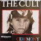 The Cult - Ceremony (Dupla LP)