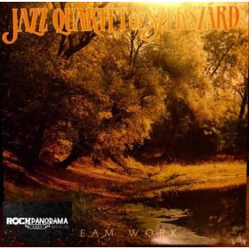 Jazz Quartet Of Szekszárd - Team Work (LP)