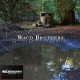 The Waco Brothers - Going Down In History (LP)