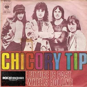 Chicory Tip - The Future Is Past (7" Single, SP)