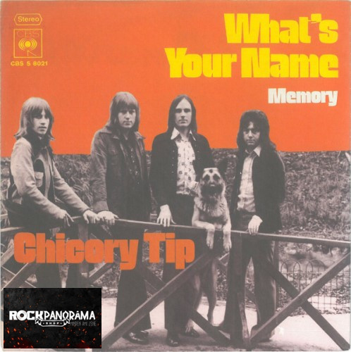 Chicory Tip - What's Your Name (7" Single SP)