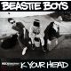 Beastie Boys - Check Your Head (CD)