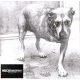 Alice In Chains -  Alice In Chains (CD)