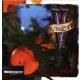 Vixen - Tangerine (CD)